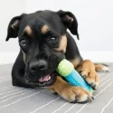 Kong Corestrength Bone Juguete Para Perro