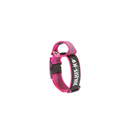 Collar Julius K9 Color&Gray Con Asa Rosa