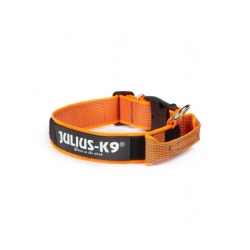 Collar Julius K9 Color&Gray Con Asa Naranja