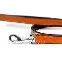 Correa Gloria Pets De Piel Acolchado Color Naranja Para Perros