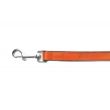 Correa Gloria Pets De Piel Acolchado Color Naranja Para Perros