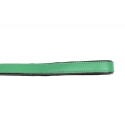 Correa Gloria Pets De Piel Acolchado Color Verde Para Perros