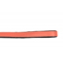 Correa Gloria Pets De Piel Acolchado Color Coral Para Perros