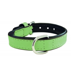 Collar Gloria Pets De Piel Acolchado Color Verde Para Perros