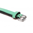 Collar Gloria Pets De Piel Acolchado Color Verde Para Perros