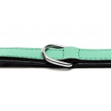 Collar Gloria Pets De Piel Acolchado Color Verde Para Perros