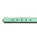 Collar Gloria Pets De Piel Acolchado Color Verde Para Perros