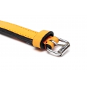 Collar Gloria Pets De Piel Acolchado Color Amarillo Para Perros
