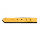 Collar Gloria Pets De Piel Acolchado Color Amarillo Para Perros