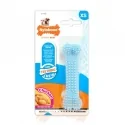 Mordedor Nylabone Blue Dental Chew Para Cachorro XS