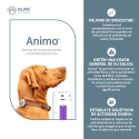 Animo Monitor de Actividad y Comportamiento Para Perros