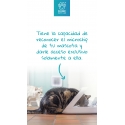 Comedero Automático SureFeed®con Lectura Microchip