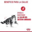 Royal Canin-Urinary Care Pouch 85 gr (1)