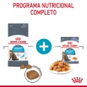 Royal Canin Cat Urinary Care Jelly Pouch 85 g