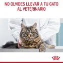 Royal Canin Cat Urinary Care Jelly Pouch 85 g