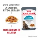 Royal Canin Cat Urinary Care Jelly Pouch 85 g