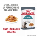 Royal Canin Cat Hairball Care Jelly Pouch 85 g