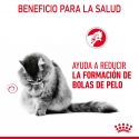 Royal Canin Cat Hairball Care Jelly Pouch 85 g