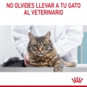 Royal Canin Cat Hairball Care Jelly Pouch 85 g