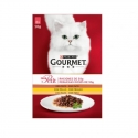 Gourmet Mon Petit-Pack Selección de Aves (1)