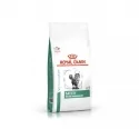 Royal Canin Veterinary Diets-Feline Satiety Support Weight Management (1)