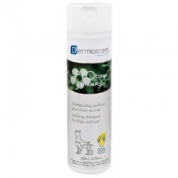 Dermoscent Pyoclean Champu perros y gatos