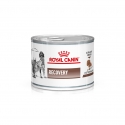 Royal Canin Veterinary Diets-Recovery 195 gr Húmedo (1)