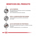 Royal Canin Veterinary Diets-Recovery 195 gr Húmedo (1)