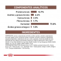 Royal Canin Veterinary Diets-Recovery 195 gr Húmedo (1)