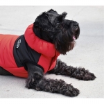 Nayeco Dog Chaqueta Outing Red
