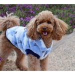 Nayeco Dog Sudadera Cap Sweet Dreams