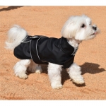 Nayeco Dog Impermeable Dancing Rain Black