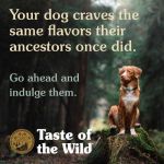 Taste Of The Wild High Prairie Canine con Bisonte y Venado