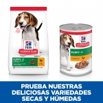 Hills Science Plan Adult de pollo pack latas para cachorros