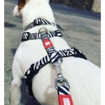 Arnés para perros Max&Molly ZEBRA