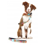 Correa para perros Max&Molly COMIC