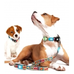 Correa para perros Max&Molly COMIC