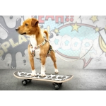Arnés para perros Max&Molly COMIC