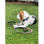 Collar smart para perros Max&Molly COMIC