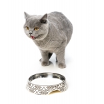 Comedero para gatos FuzzYard Gatsby