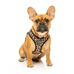 Arnés para perros FuzzYard Harness Javan
