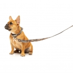 Correa para perros FuzzYard Javan