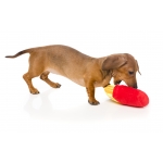 Peluche para perros FuzzYard French Fries