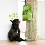 Pienso para perros Edgard & Cooper sin cereales de cordero