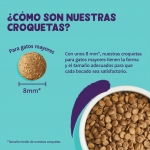 Pienso para gatos adultos Edgard & Cooper con pavo y pollo fresco