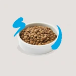 Pienso para gatos adultos Edgard & Cooper con salmón