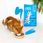 Pienso para gatos adultos Edgard & Cooper con salmón