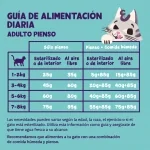 Pienso para gatos adultos Edgard & Cooper con salmón