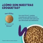 Pienso para gatos adultos Edgard & Cooper con salmón