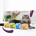 Pack de comida húmeda para gatos Edgard & Cooper con cordero y pollo